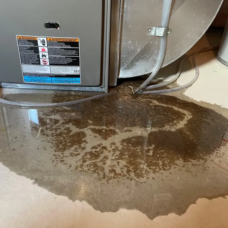 Appliance Leak Cleanup in South Wenatchee, WA